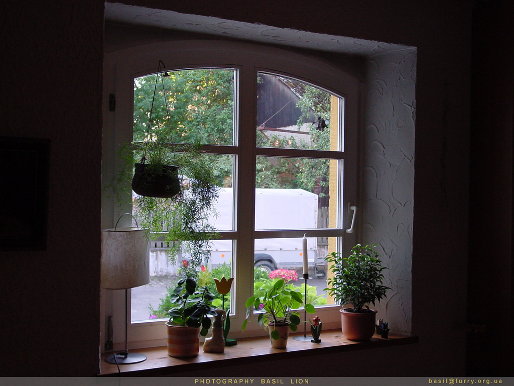 DSC01523_window.JPG