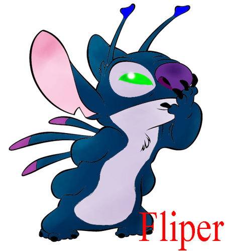 fliper.jpg