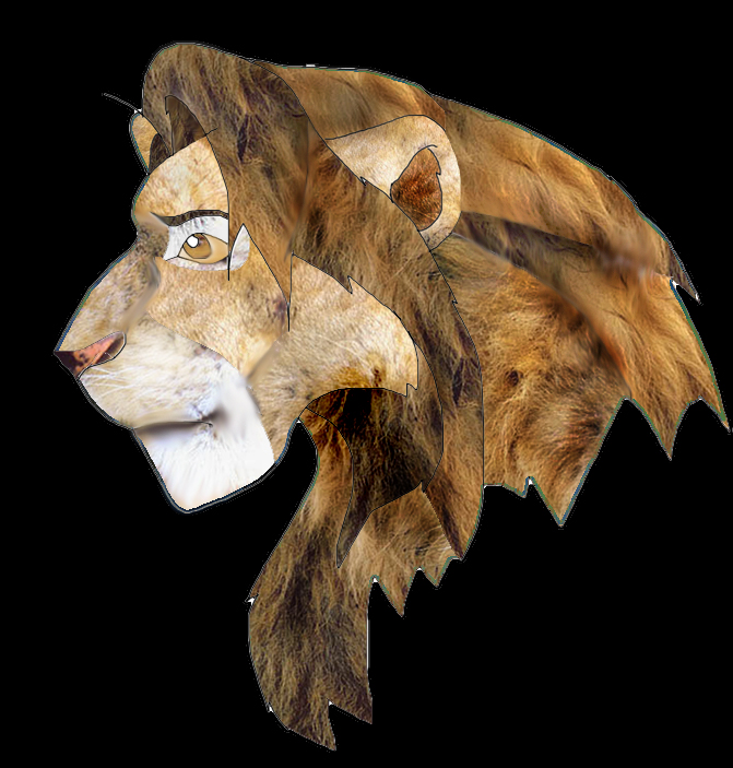 textured simba.jpg