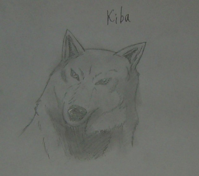 Kiba_wolf.jpg
