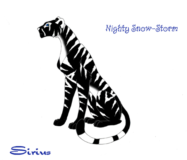 Nighty Snow-Storm _.jpg