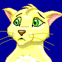 yellow-cat1.gif