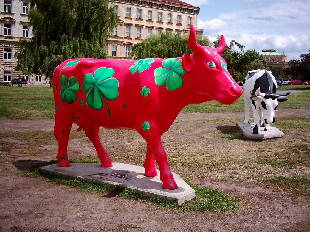 DSCI0005_cow_small.JPG