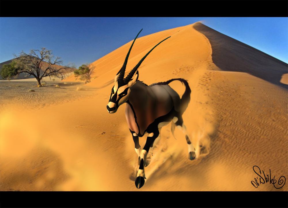 oryx-web.jpg