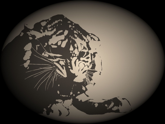 Тигр.jpg