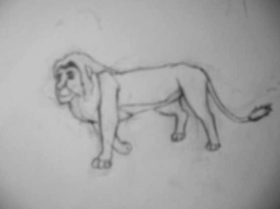 Lion1.jpg