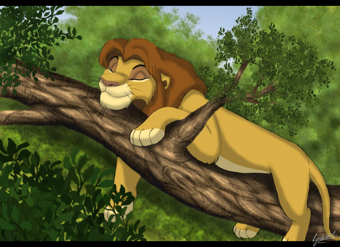 Simba has a rest.jpg