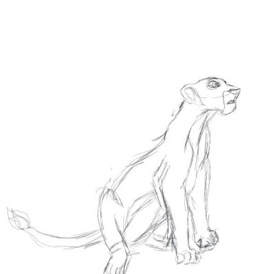 Nala_sketch.JPG