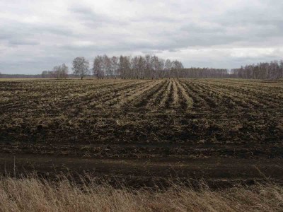 Pole.jpg (80.38 КБ) 59762 просмотра Pole.jpg