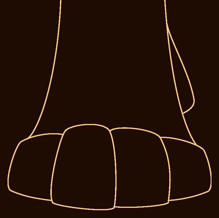 paw_sketch_2_fin.png