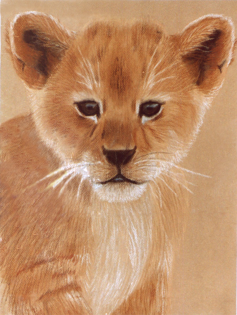 lioncub_pastel.jpg