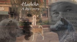 Hachiko.jpg