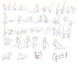 Cats_Cats_Cats_by_Golden_tetrise.png