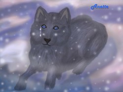 Black_wolf_with_blue_eyes.JPG