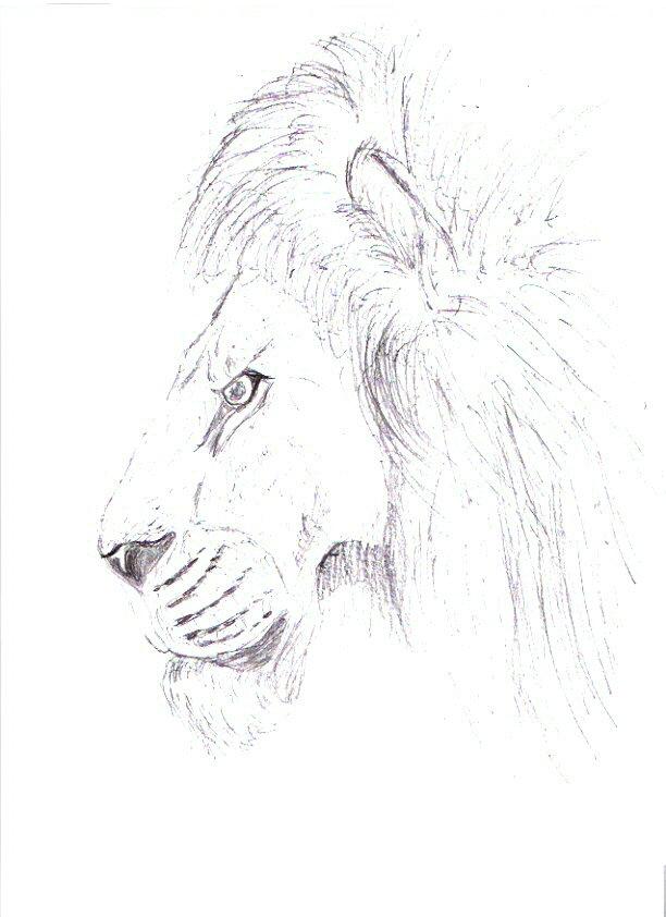 scan0001.jpg