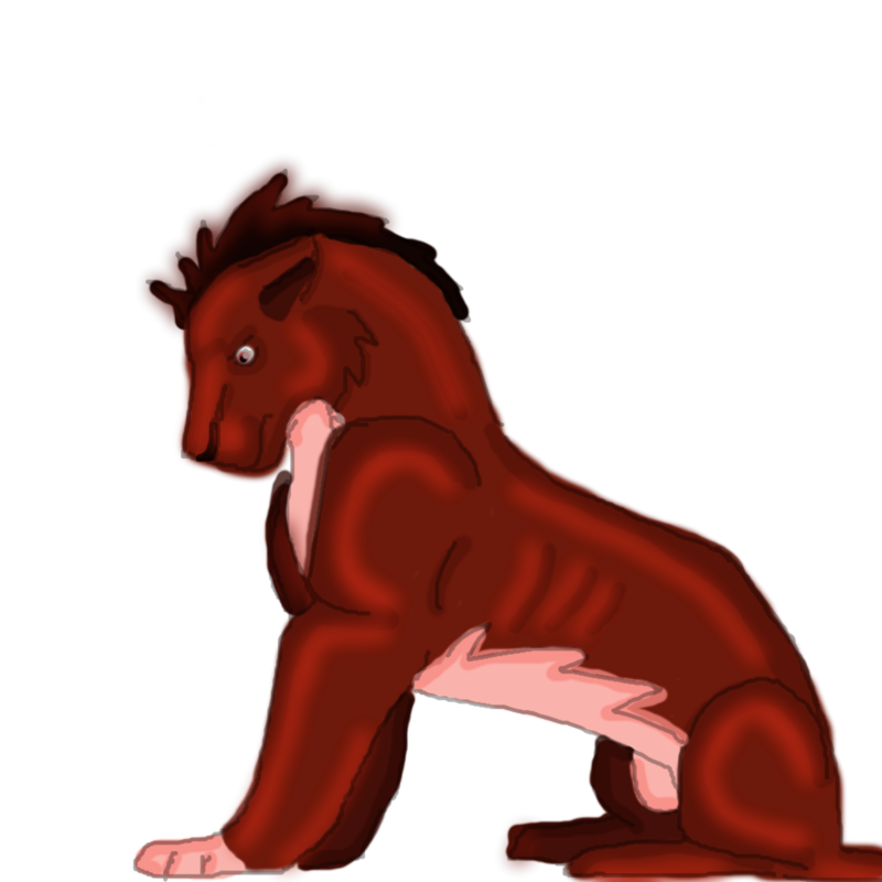 Rajas ; Red Lion ; Adoaptable