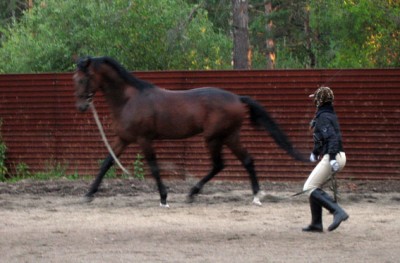 Aztec_GoHamster!.JPG (83.58 КБ) 12683 просмотра Идеальный сбор =)<br />Типа, я конь порядочный, шамборьером по попе не надо =)