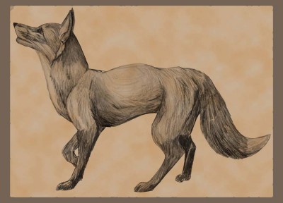 Fox.jpg (64.36 КБ) 15523 просмотра Fox.jpg