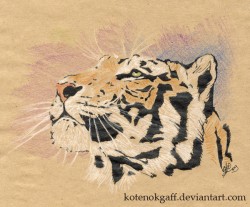 kotty_stripes.jpg