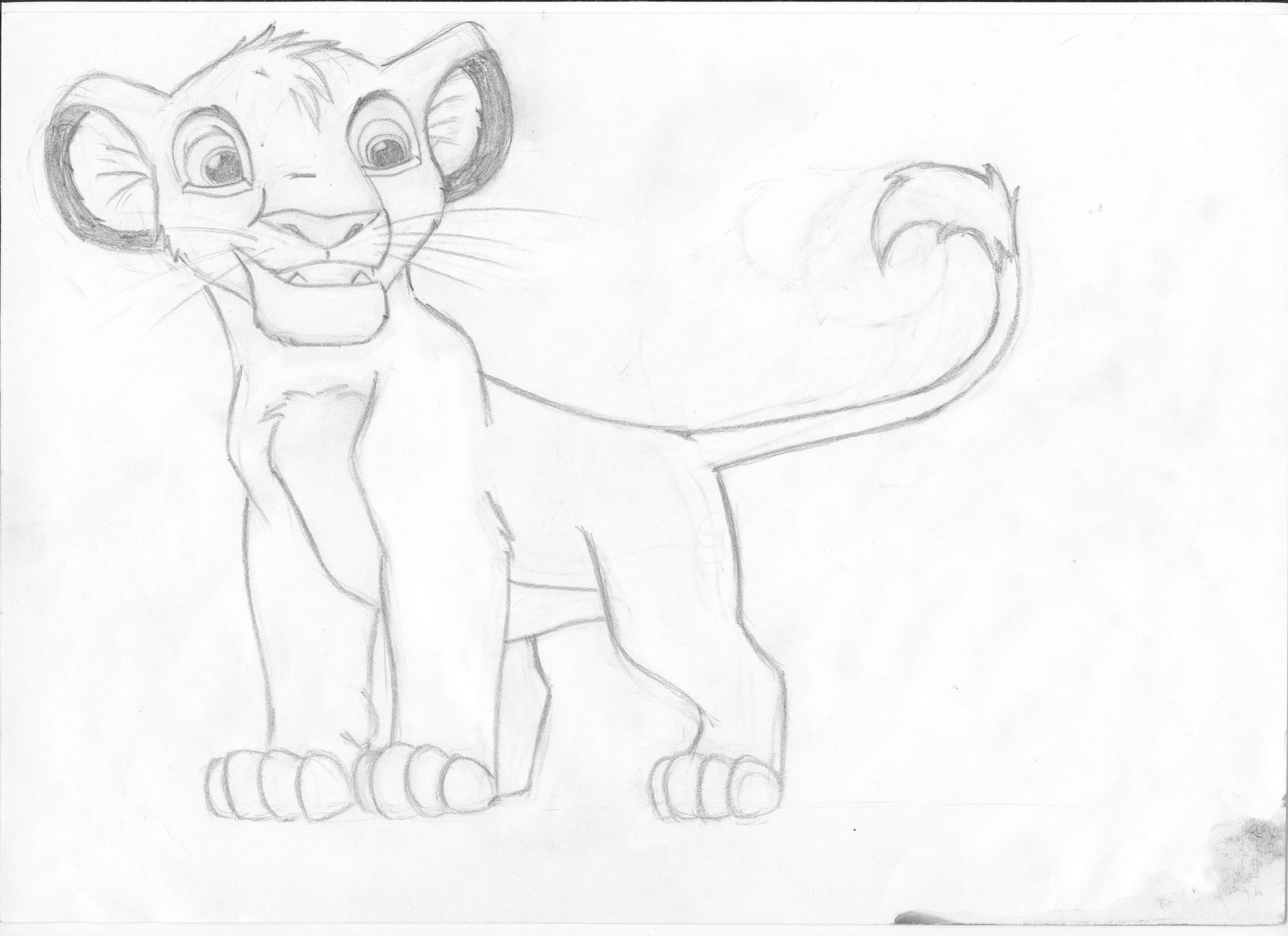 Simba1_1.jpg