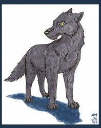 wolf_snow_neva_art_baltostyle.jpg