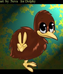 kiwi.jpg