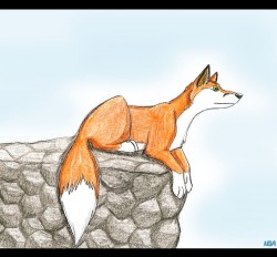 сканирование0024.jpg