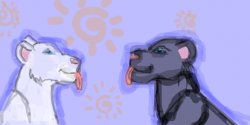 l_9f532433.png