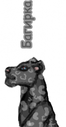 l_64f14f92.png