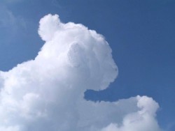 SkyLioness