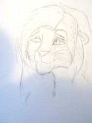 528.jpg (28.49 КБ) 34631 просмотр симба?