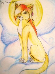 025 006.jpg (119.3 КБ) 35256 просмотров солнечная кошка