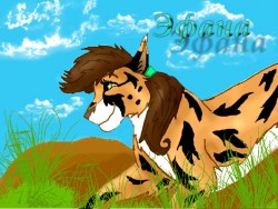 Эфана.jpg (119.66 КБ) 15535 просмотров Эфана-ещё одна дочь моего перса. Очень похожа на своего отца.