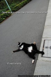 x_ec21f019.jpg (62.94 КБ) 23956 просмотров x_ec21f019.jpg