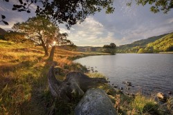 0053ck6f.jpg (146.53 КБ) 23965 просмотров Одна из работ Стива Хайфилда