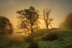 0052hq85.jpg (247.6 КБ) 22016 просмотров Ещё одна работа Стива Хайфилда