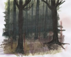 По идее - это страшный лес из игры &quot;The Path&quot;. Но первоначальные оттенки в акварели побледнели, и поэтому я мазюкала краской на нескольку раз.
