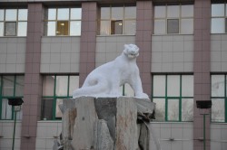 DSC_7859_2.jpg