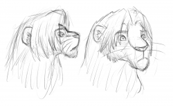 simba