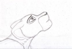 guidemegods_v2_cropped.jpg (76.83 КБ) 22453 просмотра Guide me, great kings!