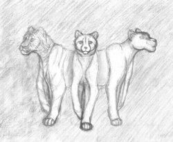 for_talana_sm.jpg (217.76 КБ) 19844 просмотра Ложные воплощения