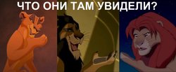 лапы.jpg (190.75 КБ) 20714 просмотров лапы.jpg